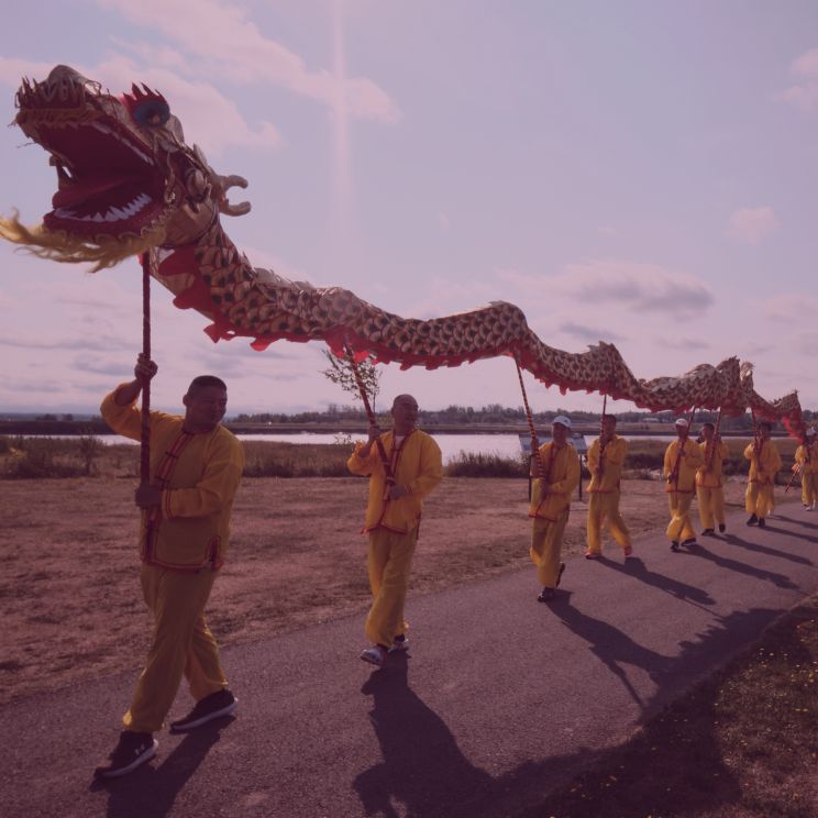 Mosaiq Banner (63 x 63 mm)-20